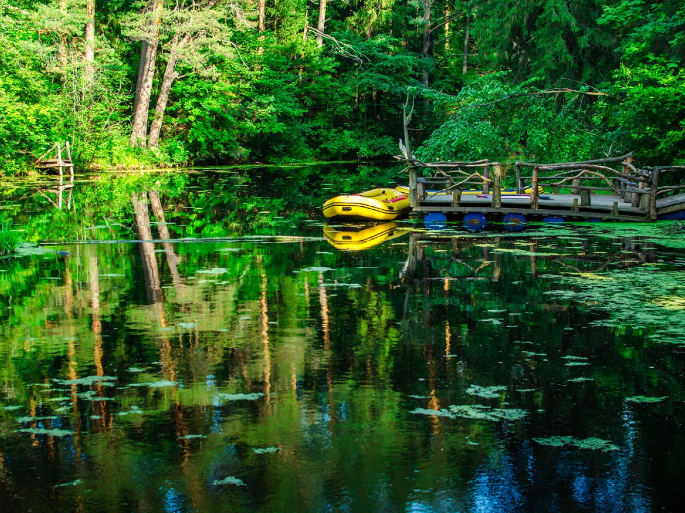 Заповедник сказок